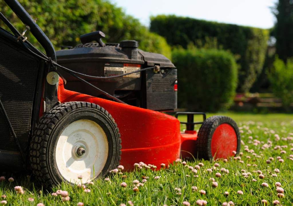 Garden Maintenance Milton Keynes